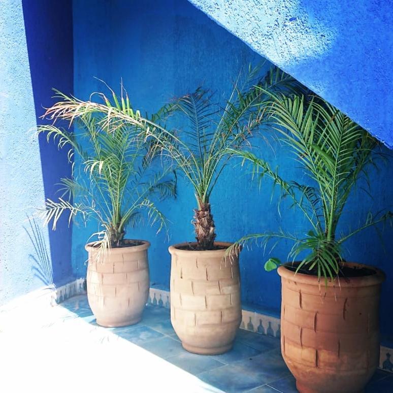 Dar Massaneh Villa Essaouira Luaran gambar